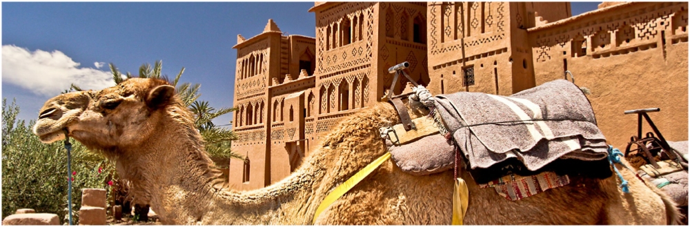 Ruta 4 dias desde Fes a Merzouga y Marrakech,excursion 4 dias a Erg CHebbi desde Fes y paseo en camello