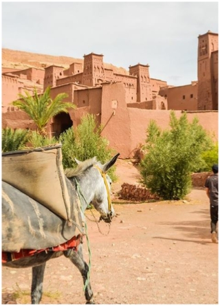 Viajes para Estudiantes desde Marrakech,ruta por Marruecos Especiale para Estudiantes