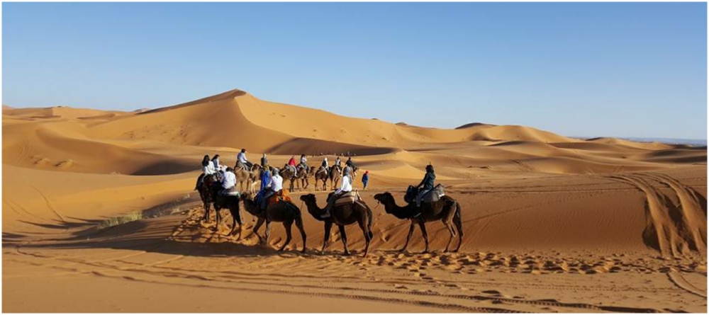 Tour 4 dias al Desierto en Merzouga y Fez