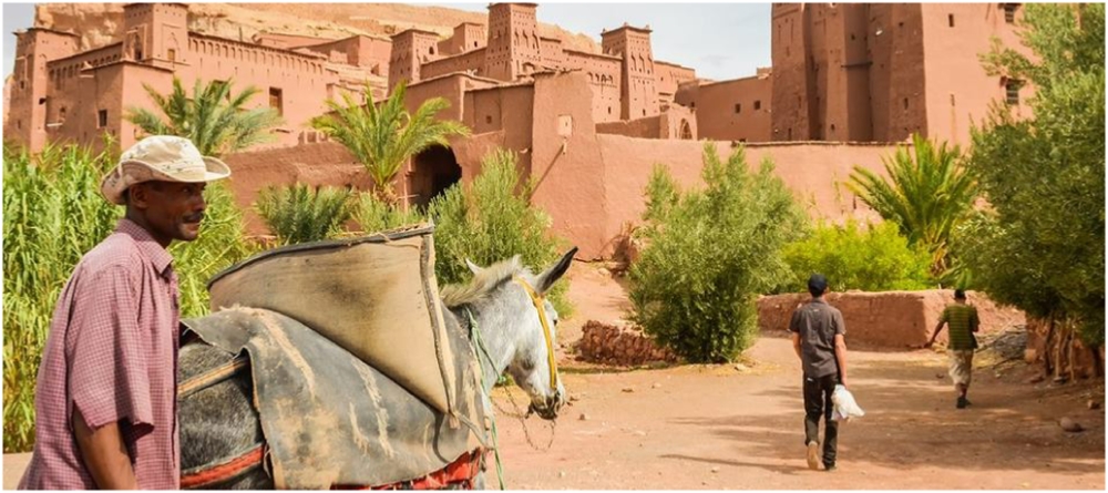 Viajes para Estudiantes desde Marrakech,ruta por Marruecos Especiale para Estudiantes